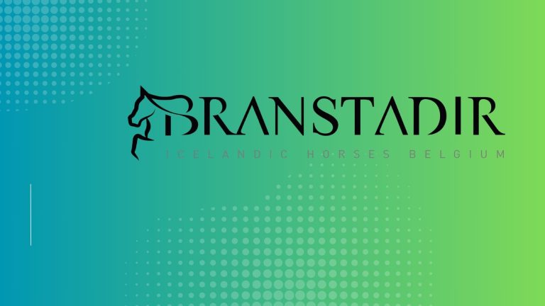 Sponsor branstadir